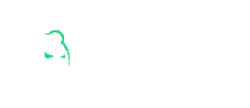 Bruno Casino logo